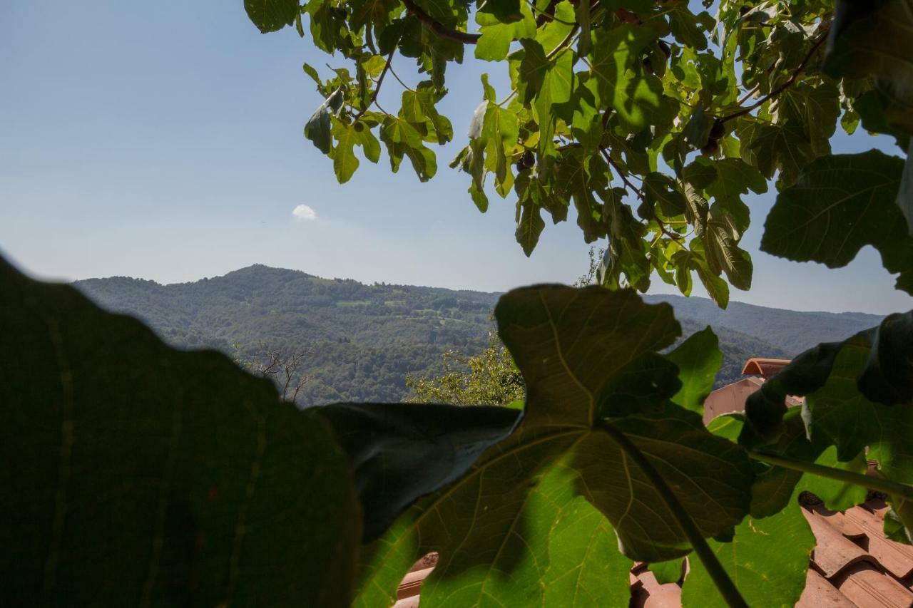 Vila Casa Krajnova Oblizza Exteriér fotografie